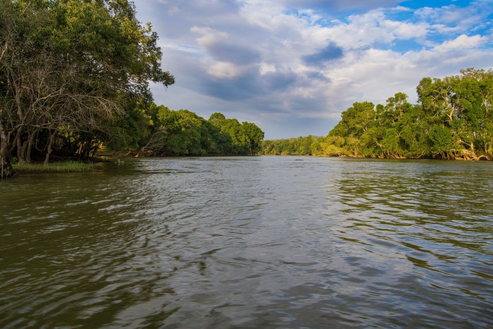 The broad Kaveri river flowing between forested banks under a blue sky
