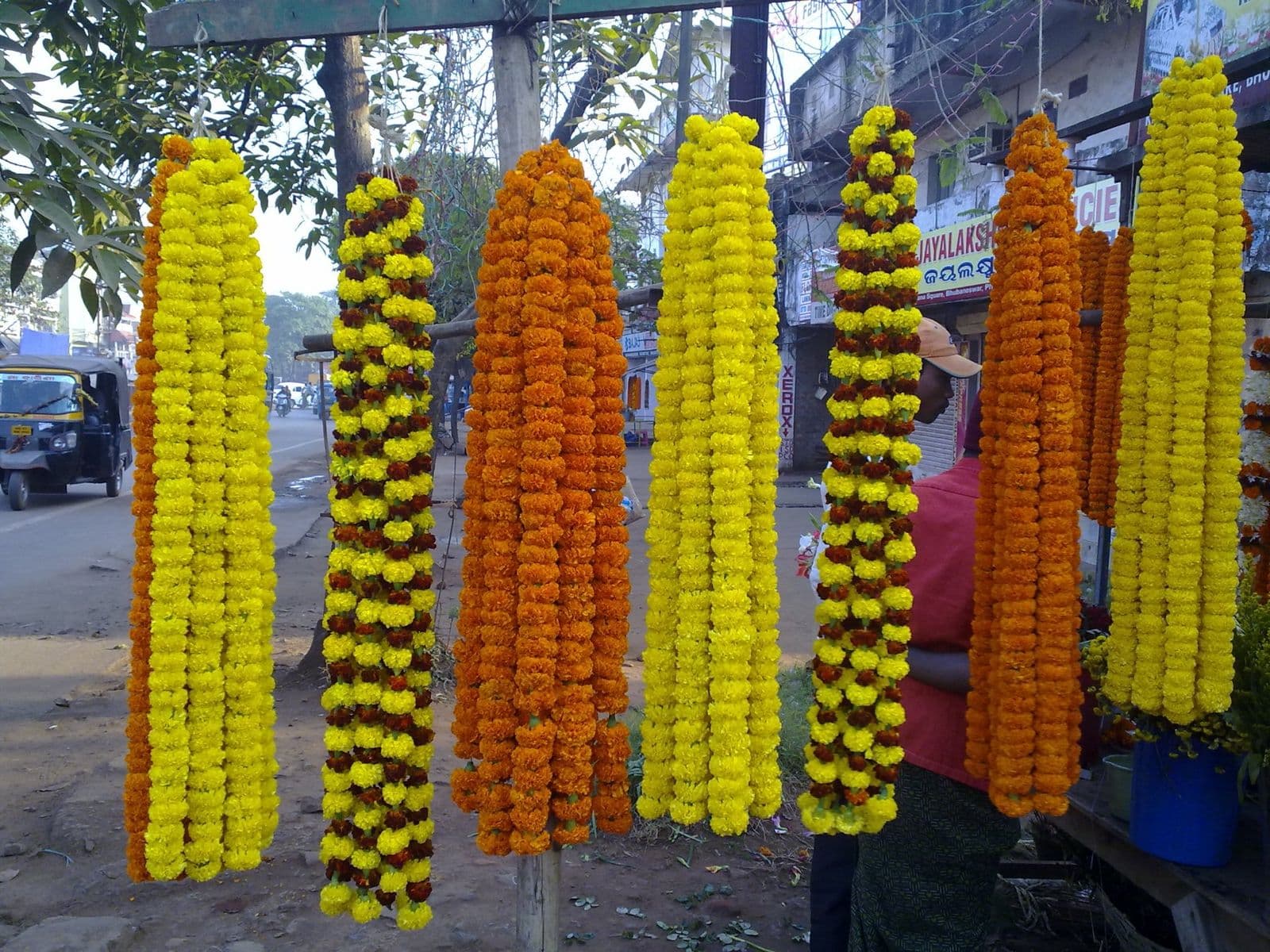 Long strands of orange and yellow marigold garlands hanging in a row